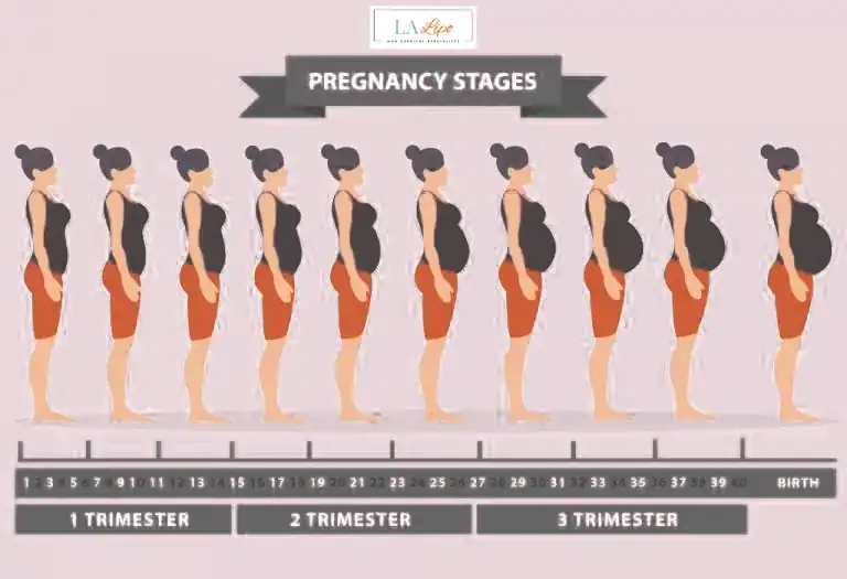 First Trimester (Weeks 1–12): Early Changes You Might Not Notice Merton Park